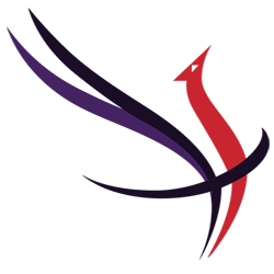 Arnavutköy Mimarlık